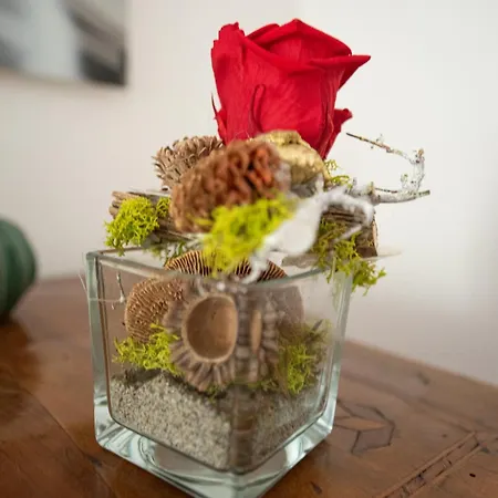Artisti, Cozy Flat In * Firenze